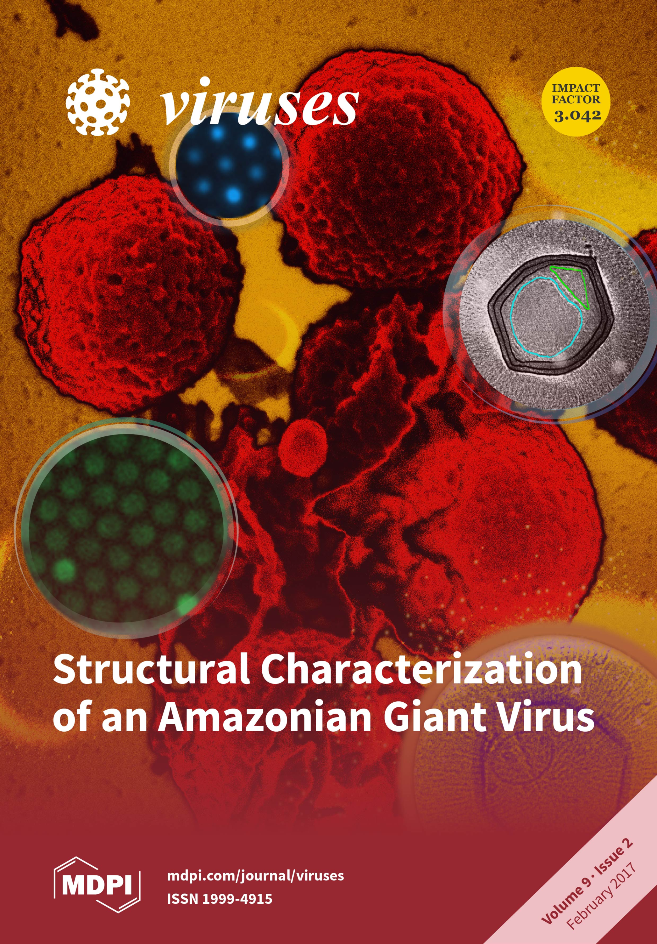 Jason Schrad's image and publication featured on the cover of Viruses.